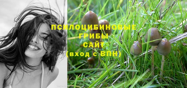 индика Горняк