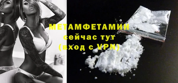индика Горняк