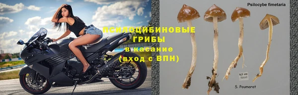марихуана Горнозаводск