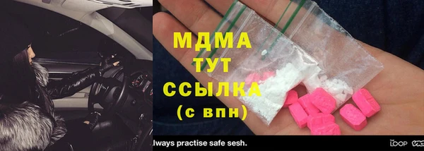 индика Горняк