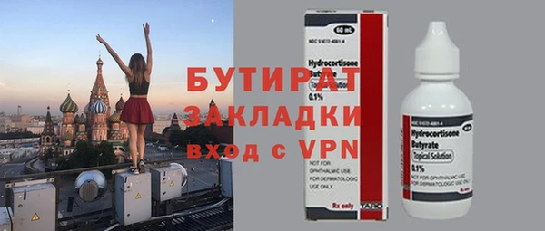 индика Горняк