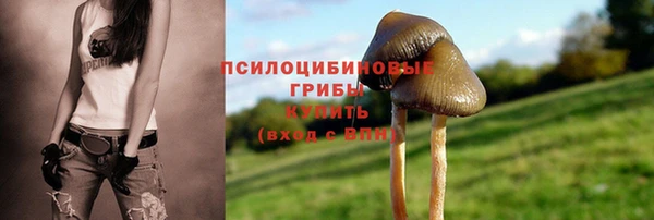 индика Горняк