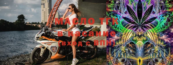 индика Горняк