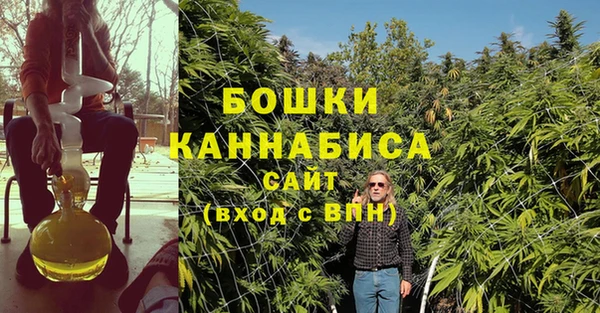 индика Горняк