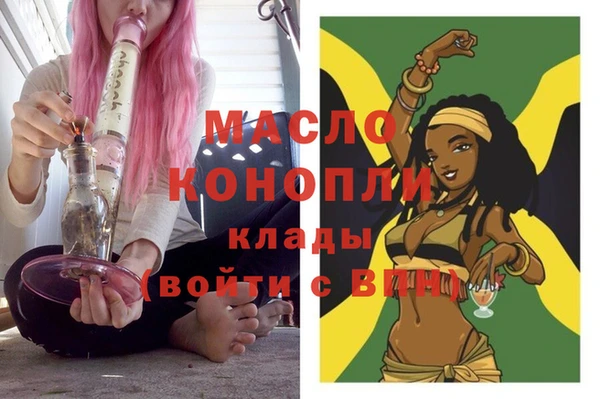 индика Горняк