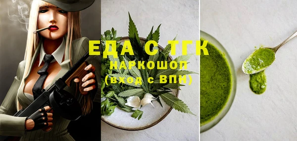 индика Горняк