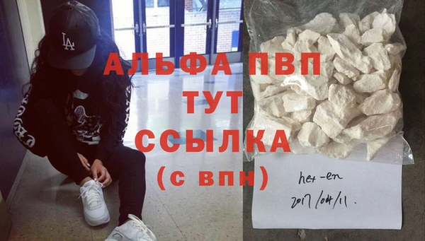 индика Горняк