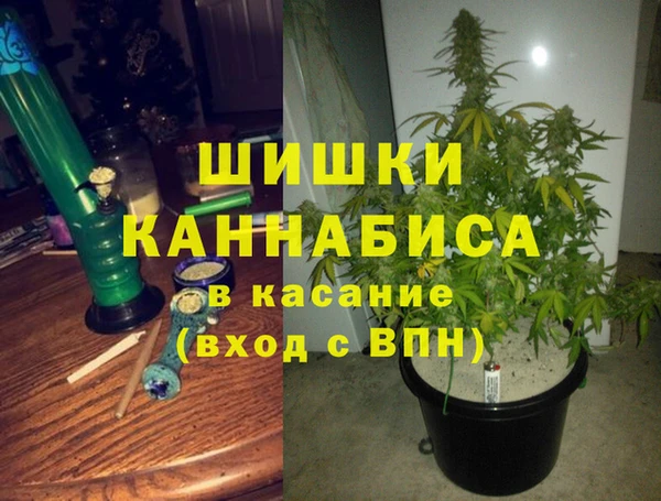 индика Горняк